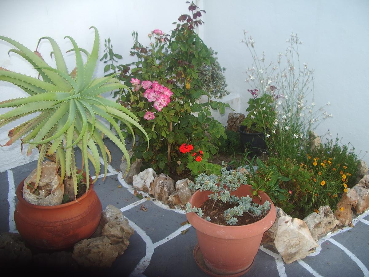 Skyros Koxilas Studios Zewnętrze zdjęcie